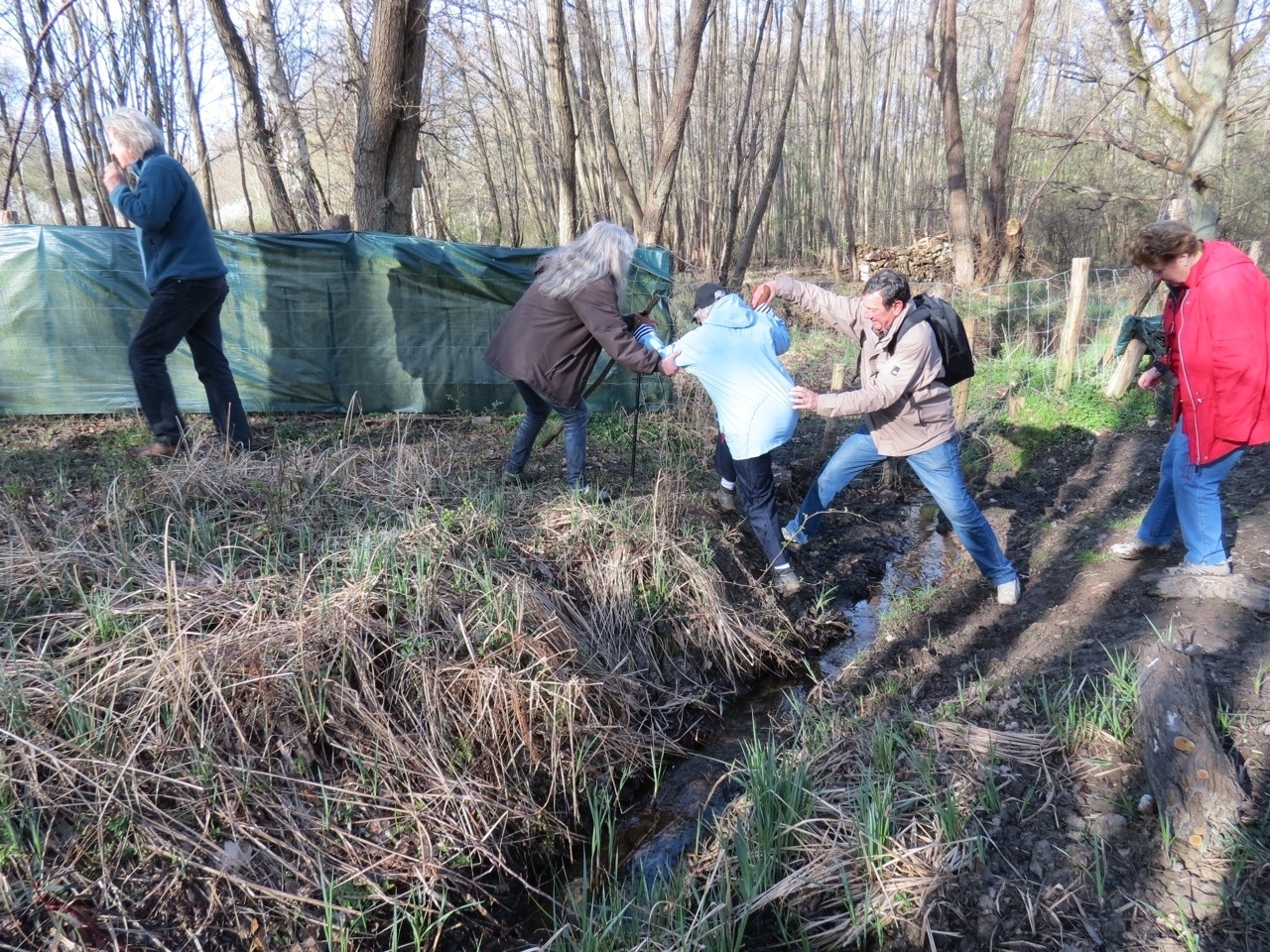 2012 04 21 Ornitho à Gambaiseuil 04